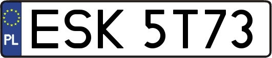 ESK5T73