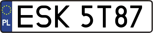 ESK5T87