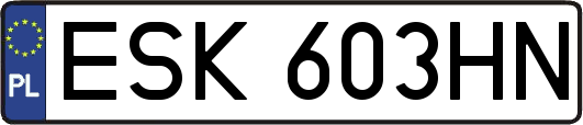 ESK603HN