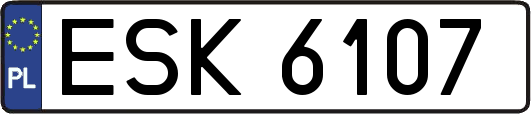 ESK6107