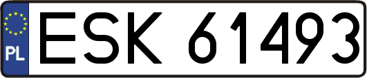 ESK61493