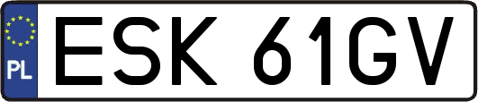 ESK61GV