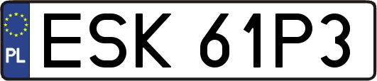 ESK61P3