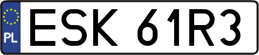 ESK61R3