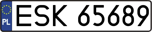 ESK65689