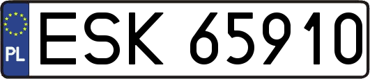 ESK65910
