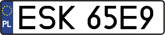 ESK65E9