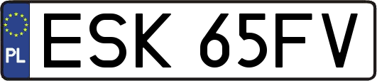 ESK65FV