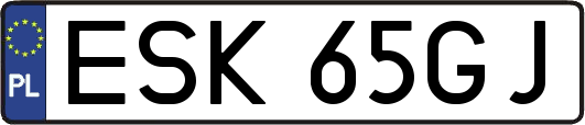 ESK65GJ