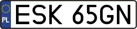 ESK65GN