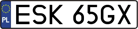 ESK65GX