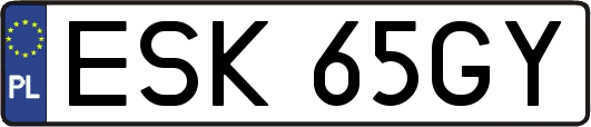 ESK65GY