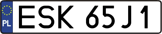 ESK65J1
