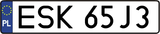 ESK65J3