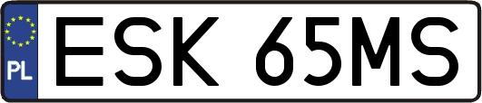 ESK65MS
