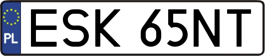 ESK65NT