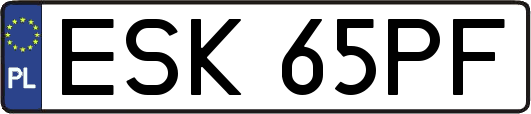ESK65PF