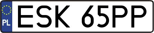 ESK65PP
