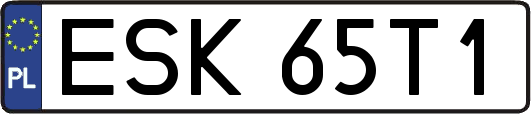 ESK65T1