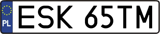 ESK65TM