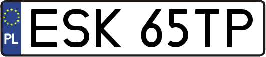 ESK65TP