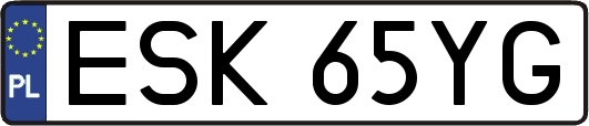 ESK65YG