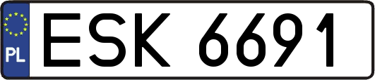 ESK6691
