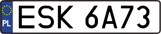 ESK6A73