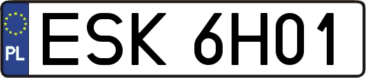 ESK6H01