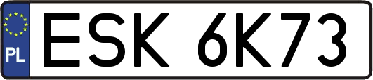 ESK6K73