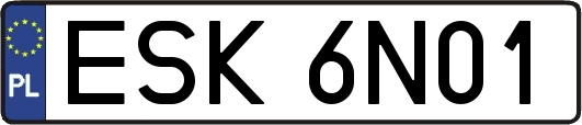 ESK6N01