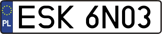 ESK6N03