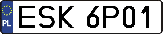 ESK6P01