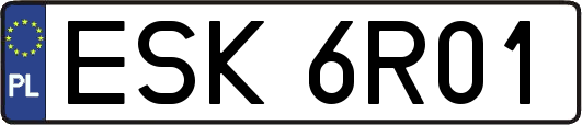 ESK6R01