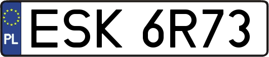 ESK6R73