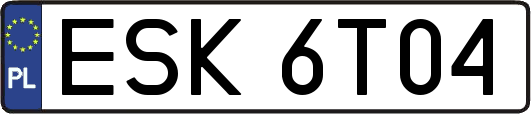 ESK6T04