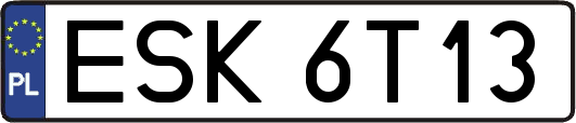 ESK6T13