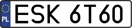 ESK6T60
