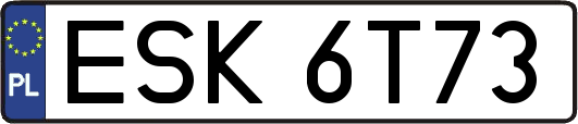 ESK6T73