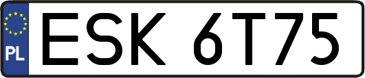 ESK6T75