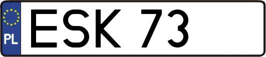 ESK73