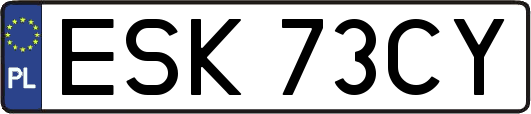ESK73CY