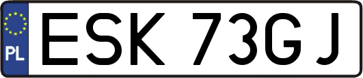 ESK73GJ