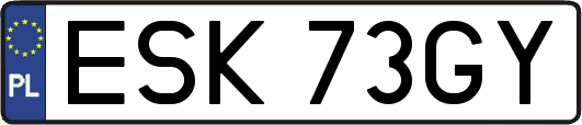 ESK73GY