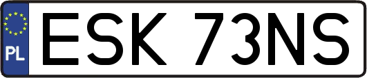ESK73NS