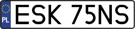 ESK75NS