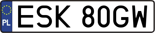 ESK80GW