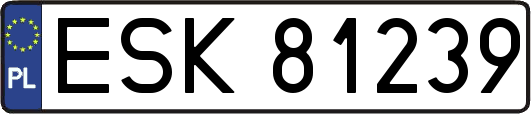 ESK81239