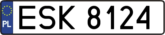 ESK8124