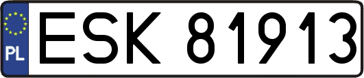 ESK81913